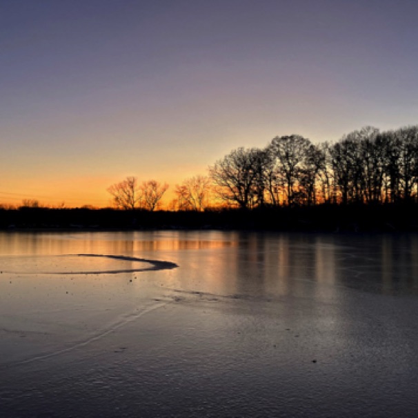 Dodge Nature Center (Nov)